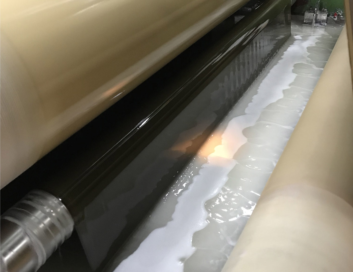 About us_last image.jpg