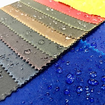 Picture of Evolution 6