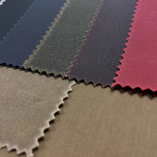 Picture of Evolution 8