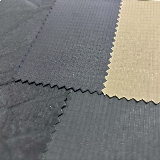 Picture of Evolution 100RS