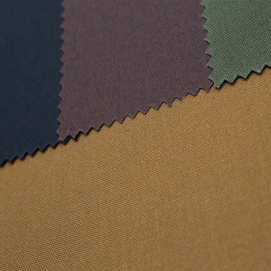 Picture of Sahara 10